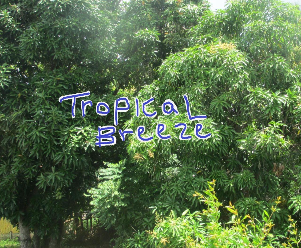 Tropical Breeze Vacation Home And Apartments Νησίδα Γκρος Εξωτερικό φωτογραφία